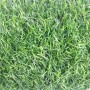 Искусственная трава Ecogreen 20