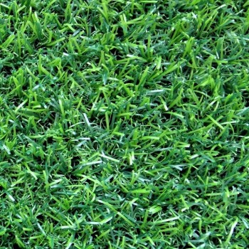 Искусственная трава Эконом Grass