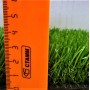 Искусственная трава, газон Пелегрин 35 мм