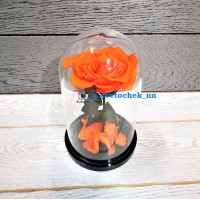 Оранжевая роза в колбе королевская