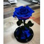 Синяя роза в колбе королевская