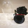 Черная с позолотой роза в колбе королевская