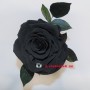 Черная роза в колбе королевская