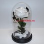 Белая роза в стеклянной колбе королевская